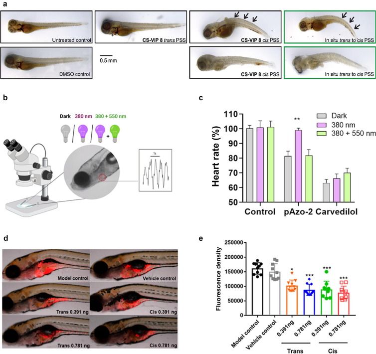 Harnessing zebrafish as a model for photopharmacology: Insights into light-controlled biological effects of photoswitchable drugs