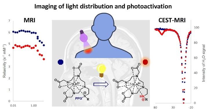 MRI & CEST Contrast Agents